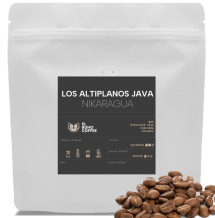 Los Altiplanos Java